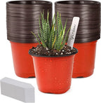 Set of 100 Plastic Flower Pots for Home Garden