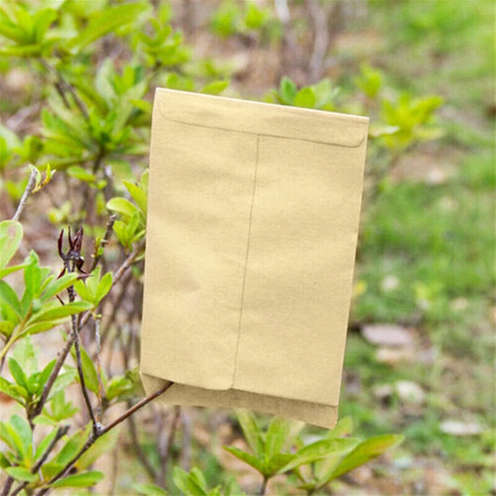 Set of 50 Kraft Paper Seed Packets Mini Envelopes 6x11cm