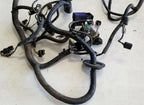 Front Left Engine Bay Harness for Jaguar XK8 (1999–2002)