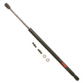 Hood Lift Support for Honda Accord (1998–2002)