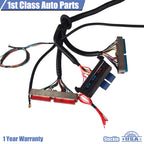LS1 Standalone Wire Harness for T56 (1997-2006)