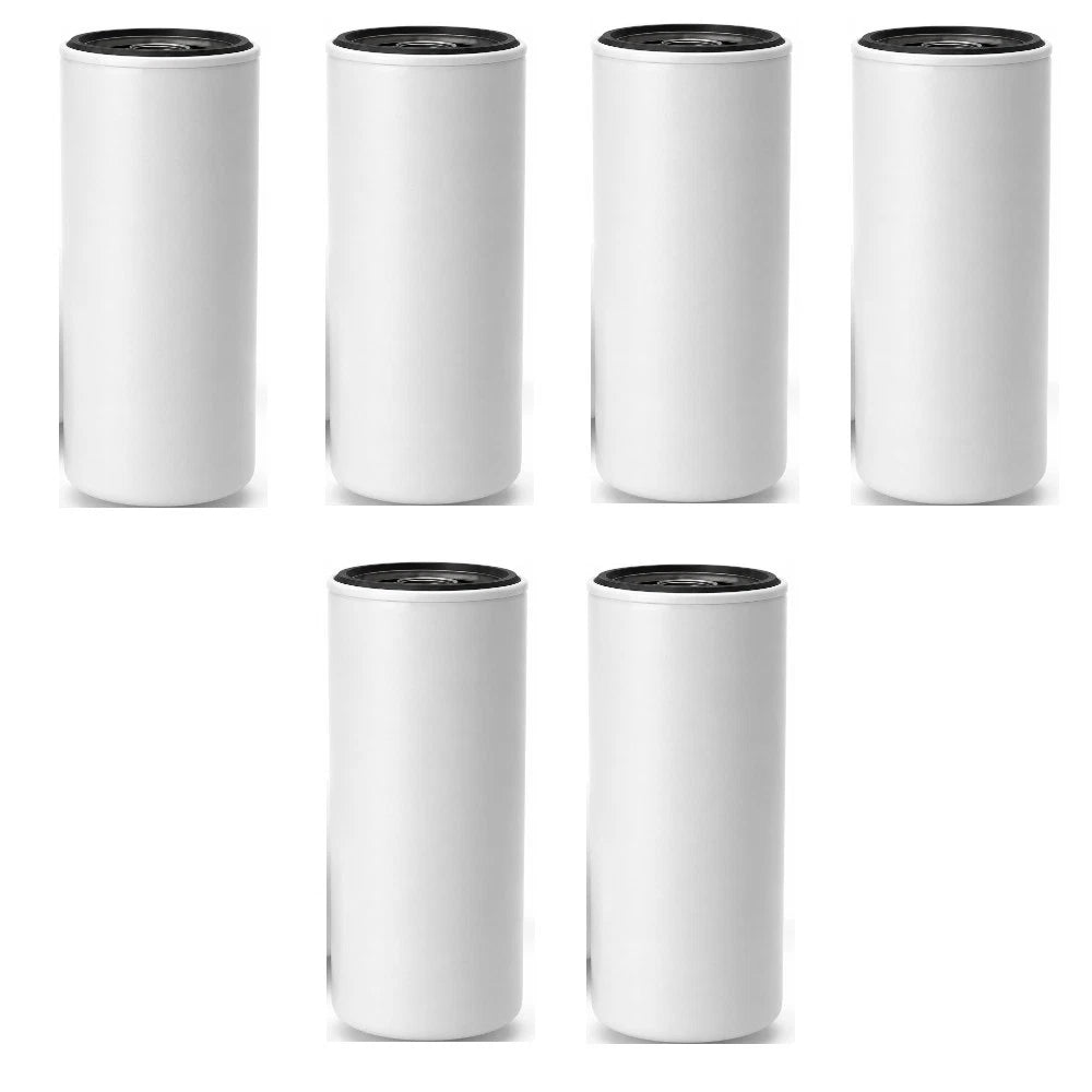 Set of 6 Fuel Filters A-FF202 for Various Makes and Models