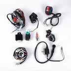 CDI WIRE HARNESS-STATOR ASSEMBLY for ATV Electric-Quad