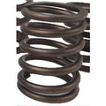 Inner Valve Spring for Caterpillar 3406, 3406B (Industrial Construction)