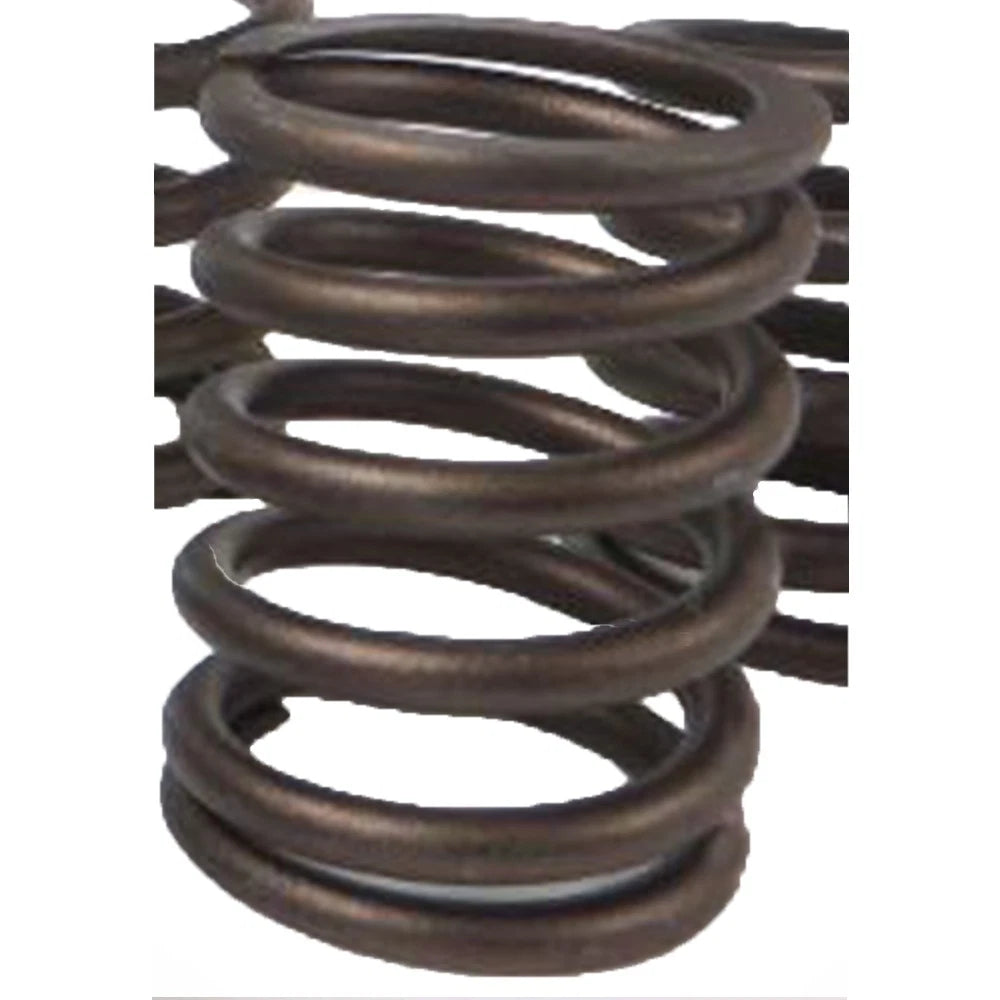 Inner Valve Spring for Caterpillar 3406, 3406B (Industrial Construction)
