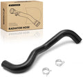 Lower Radiator Hose for Honda Civic (2012–2015) Acura ILX (2013–2015)