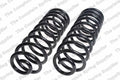 Heavy Duty Rear Coil Spring Kit for Ford (2015–2023) 4427522