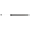 Liftgate Strut for Ford Escape (2020–2024)