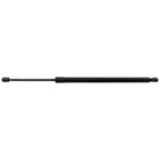 Liftgate Strut for Ford Escape (2020–2024)