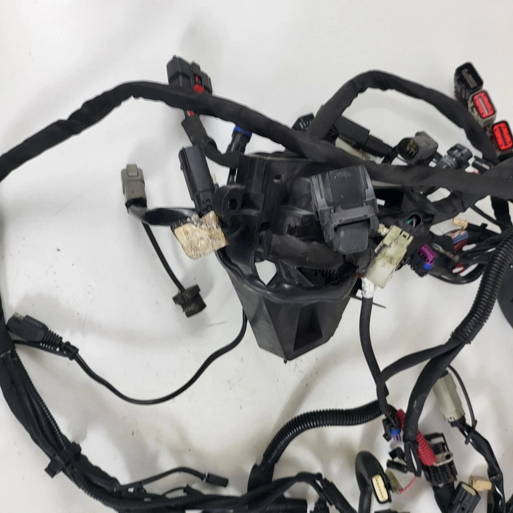 Main Wiring Harness for Harley Davidson CVO Street Glide (2015) 69200910