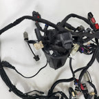 Main Wiring Harness for Harley Davidson CVO Street Glide (2015) 69200910