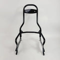 OEM Quick Release Passenger Sissy Bar for Indian Chief (2014–2018) 2880670-266
