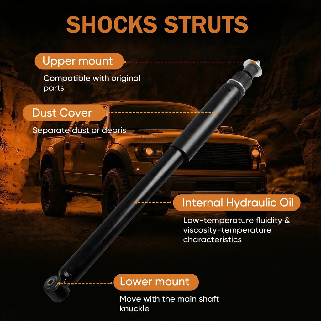 Front Shocks Struts Pair for Mercedes-Benz E320 (1998–2001)