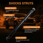 Front Shocks Struts Pair for Mercedes-Benz E320 (1998–2001)