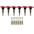 Set of 6 Denso Ignition Coils & NGK Spark Plugs for Audi A6 (2005–2011)