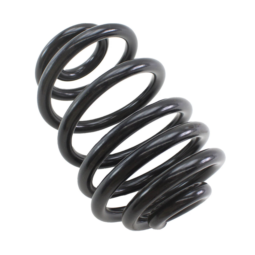 Lesjofors 4208487 Rear Coil Spring for BMW E46 M3 (2001–2006)