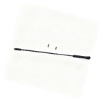 Universal 16 Inch Antenna for Car Radio with Dual Screws