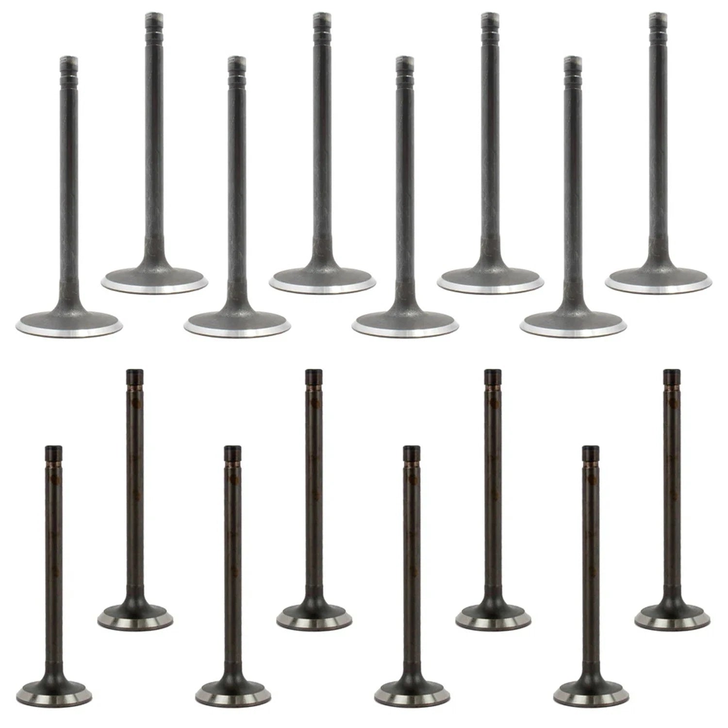 Set of 16 Intake & Exhaust Valves Kit for Blazer Chevelle Corvette Malibu (N/A)