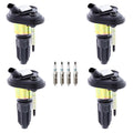Set of 4 Ignition Coils & Iridium Spark Plugs for Colorado Canyon (2004–2012)