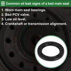 Front Crankshaft Oil Seal for Ford Fiesta (2011–2017) 6M5G6700BA