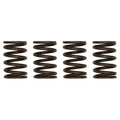 Set of 4 Valve Springs for Ford/New Holland (Replaces 3911693)
