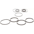 Replacement Seal Kit for OMC Cobra Tilt/Trim Cylinder 0985060, 3854247