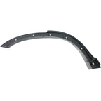 Fender Trim Molding for Honda (Rear Driver Left Side)
