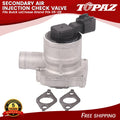 Secondary Air Injection Check Valve for Buick LaCrosse Grand Prix (2005–2009)