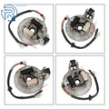 Magneto Flywheel Stator Plate for Trail Dirt Bike (90cc, 110cc, 125cc)