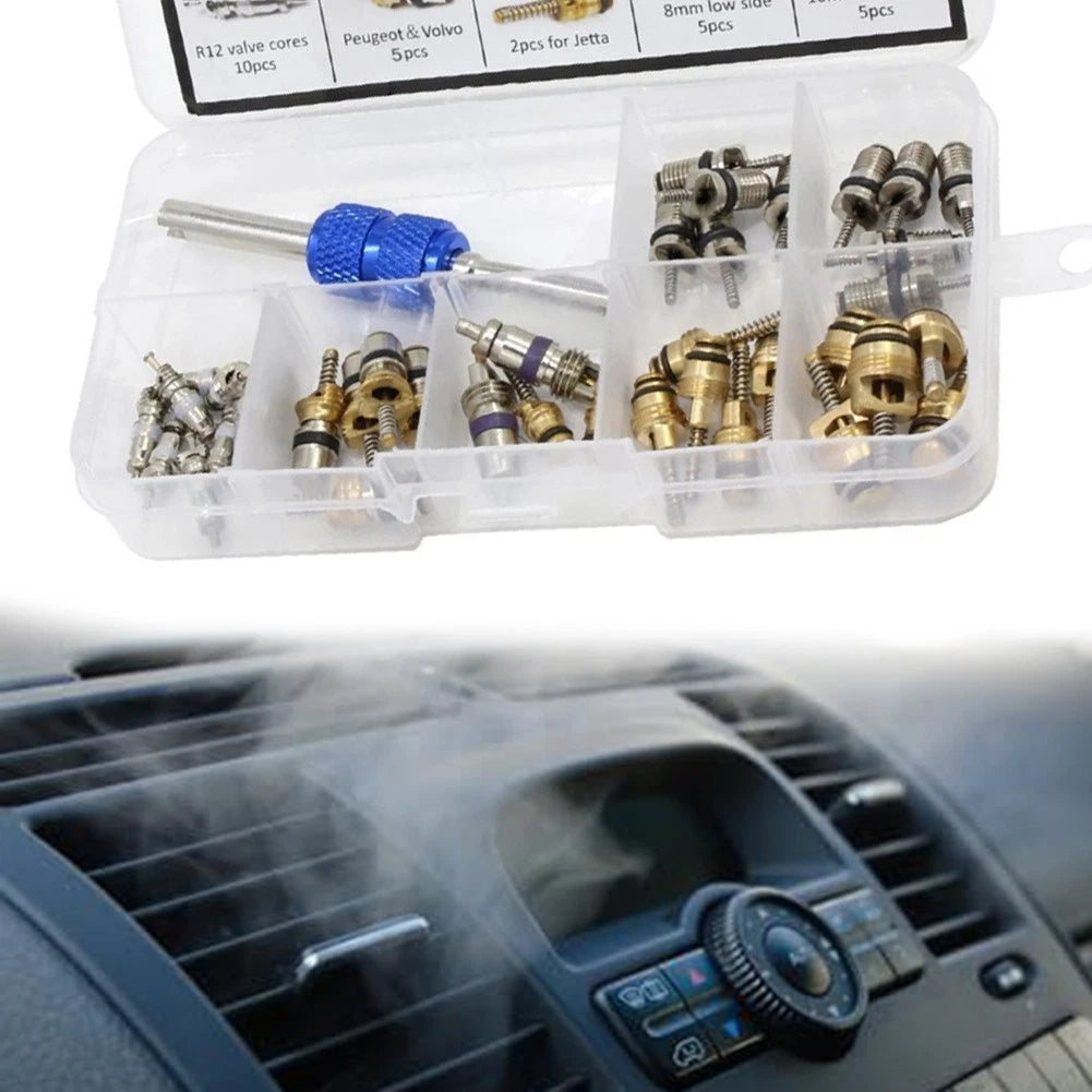 R134a AC Valve Core Kit 40 Pieces with Tool for Car Truck Motorcycle (N/A)