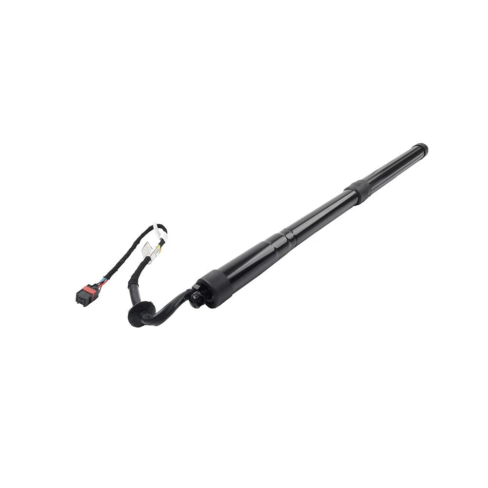 Trunk Tailgate Lift Support for Land Rover Range Rover Sport (2005–2013)