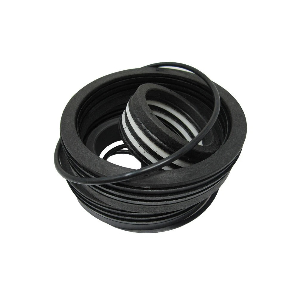 Hydraulic Cylinder Seal Kit for Ford/New Holland (30994)
