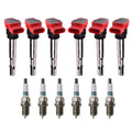 Set of 6 Ignition Coils & Denso Iridium Spark Plugs for Audi Porsche Volkswagen