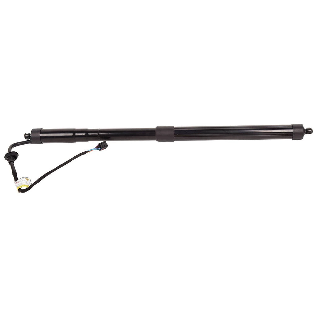 Rear Trunk Lid Power Lift Support for Volkswagen Touareg (2011-2015)