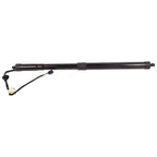 Rear Trunk Lid Power Lift Support for Volkswagen Touareg (2011-2015)