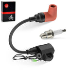 Ignition Coil with Spark Plug for Yamaha 2 Stroke HP