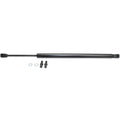Lift Support for Honda Accord (1998–2002) Hood Left or Right