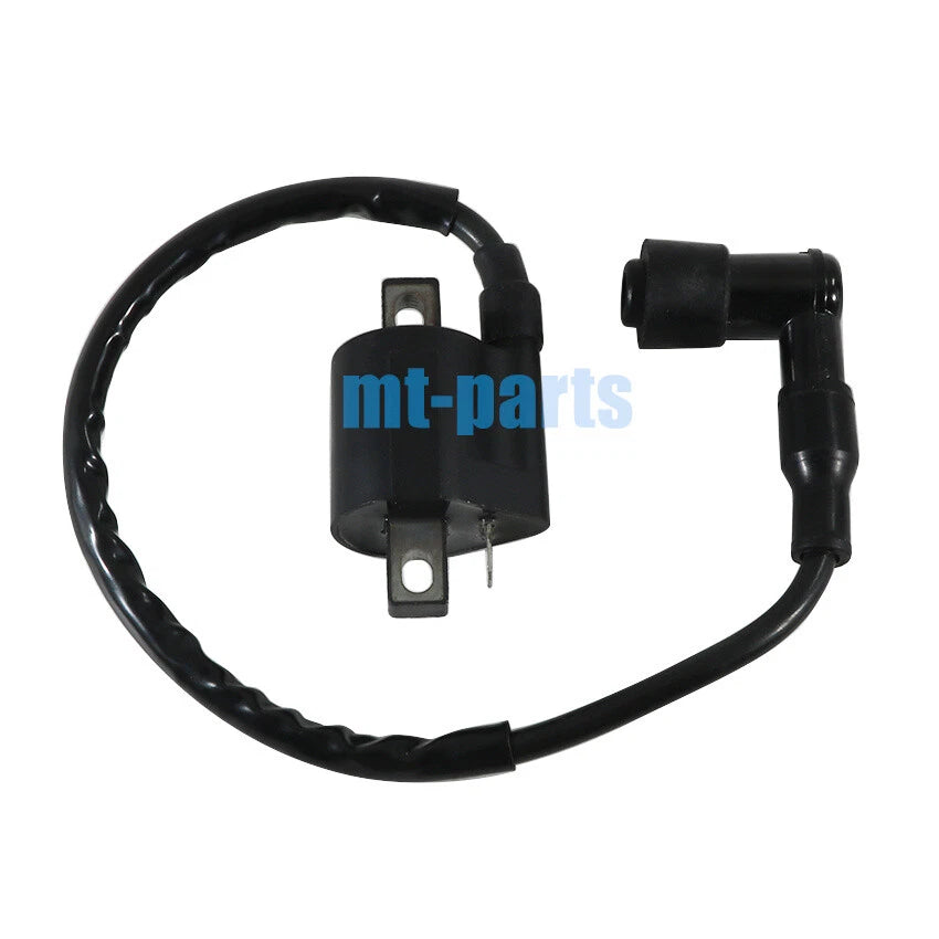 Ignition Coil for Suzuki FB100 LT250R QuadRacer 250 (1985–2000)