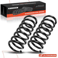 2X Rear Coil Springs for Chevrolet Equinox (2007–2017) GMC Terrain