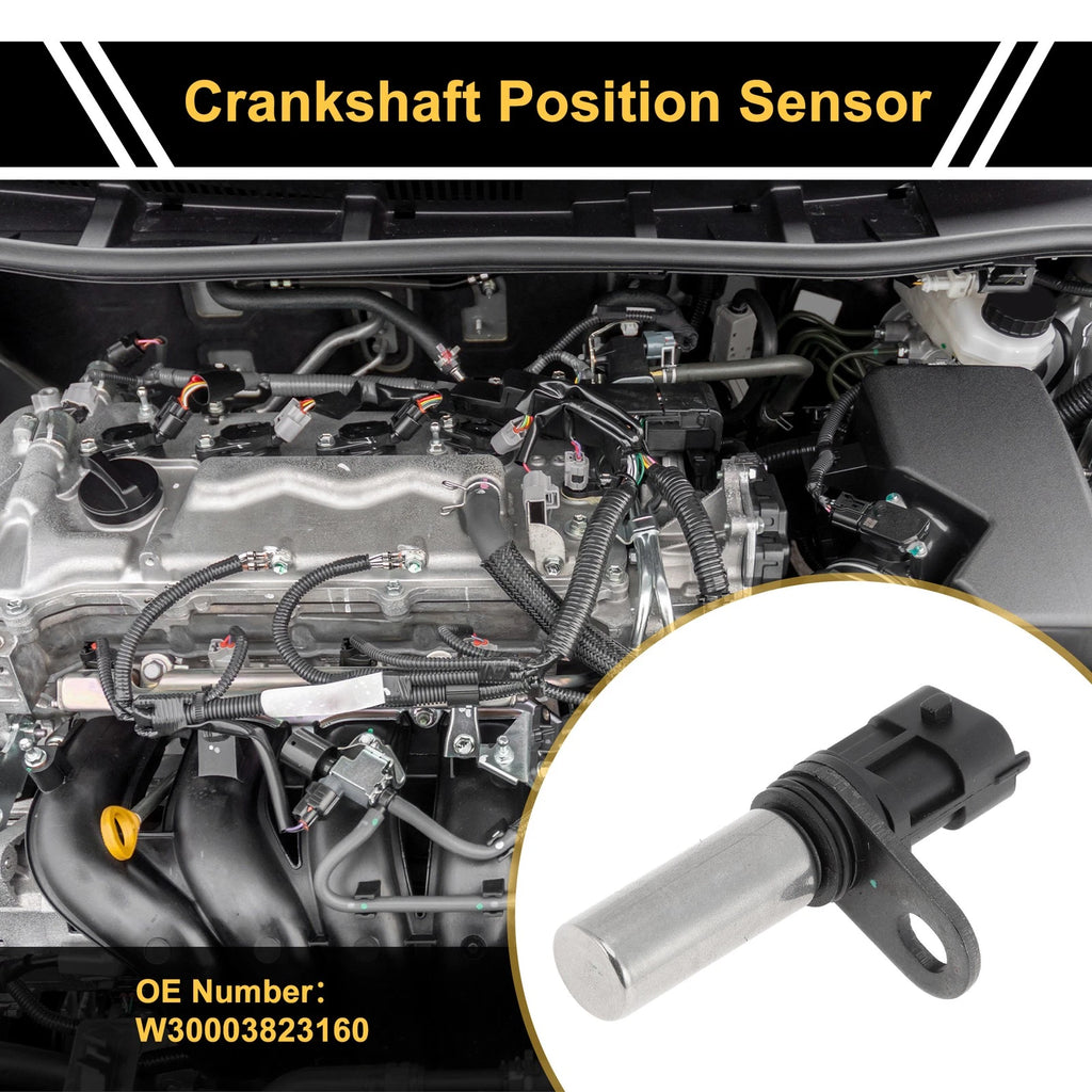 Crankshaft Position Sensor for Ford Chevrolet (W30003823160)
