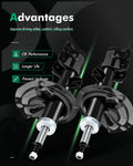 Set of 2 Front Struts Shocks Absorbers for Nissan Murano (2003–2007)