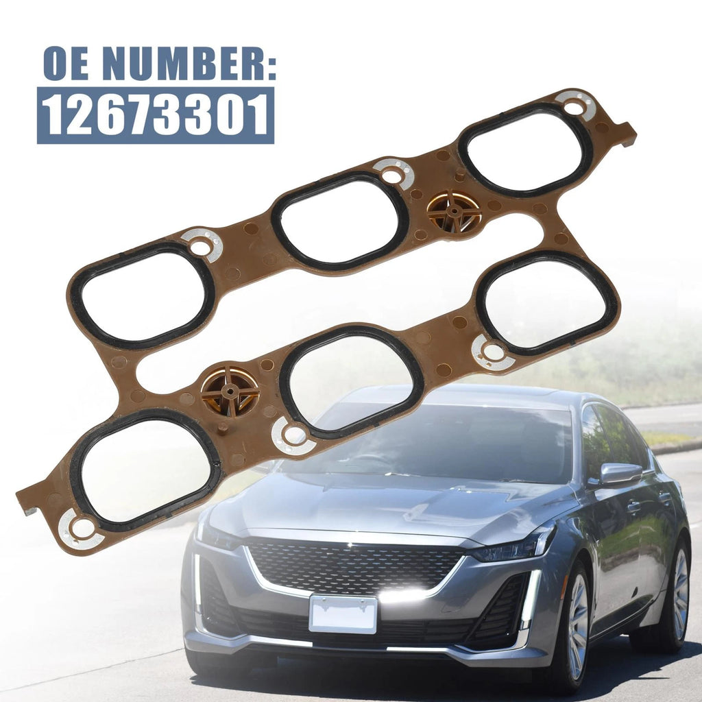 Lower Intake Manifold Gasket for Chevrolet Cadillac Buick (12673301)