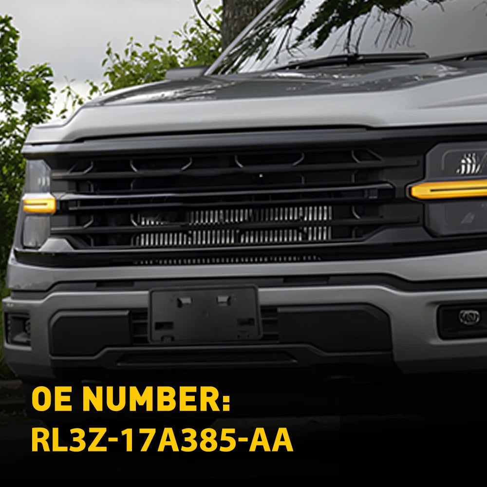 License Plate Mounting Bracket for Ford F-150 (2024–2025)