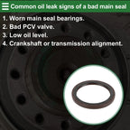 Rear Crankshaft Oil Seal for ISUZU (8-97049146-0) (2000-2023)
