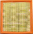HIFLOFILTRO Air Filter for Ducati (HFA6002)