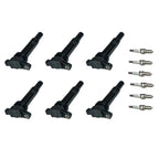 Set of 6 Ignition Coils & 6 Iridium Spark Plugs for Hyundai Santa Fe (2007–2009)