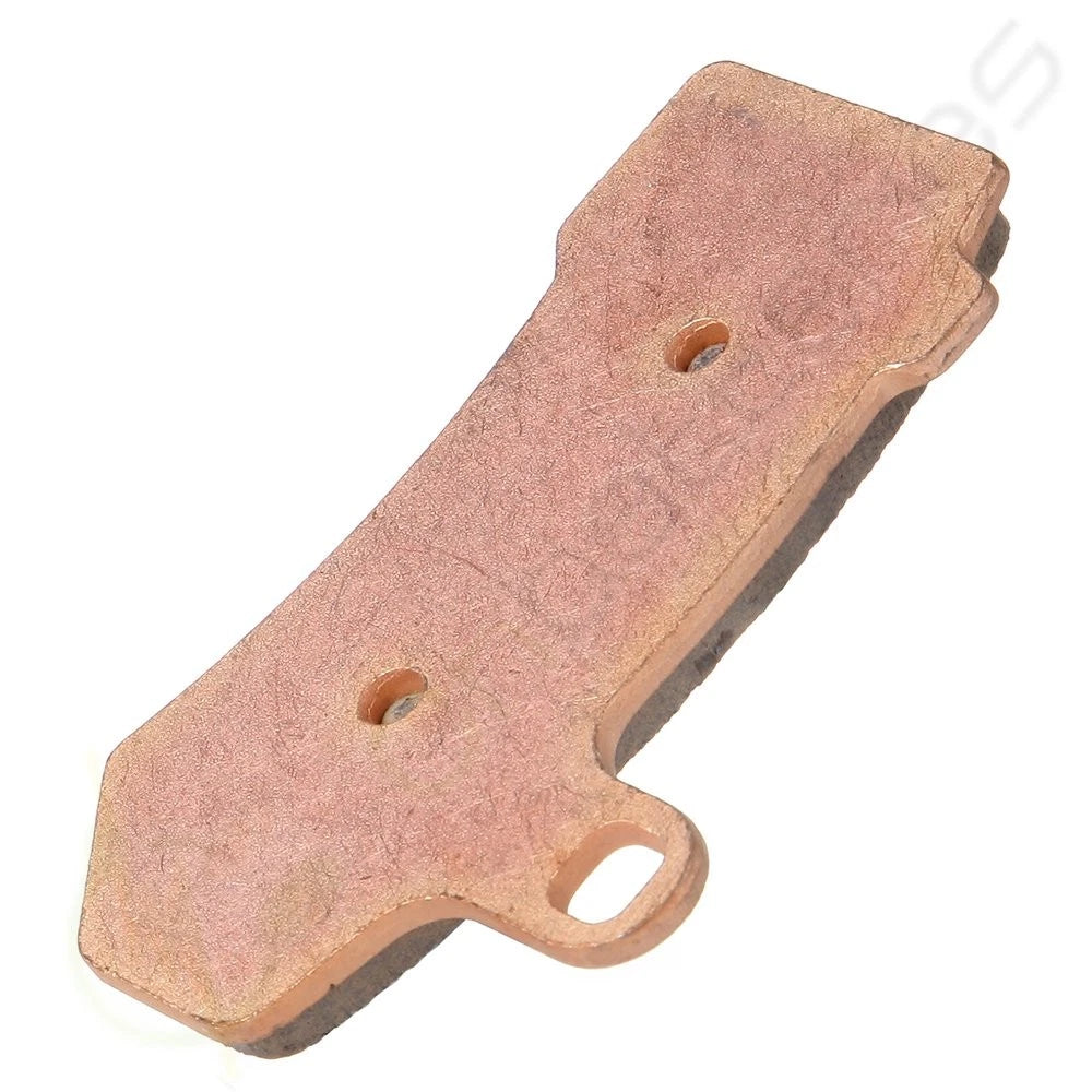 Sintered Rear Brake Pads for Harley-Davidson Classic EFI FLHTCI (2002–2009)