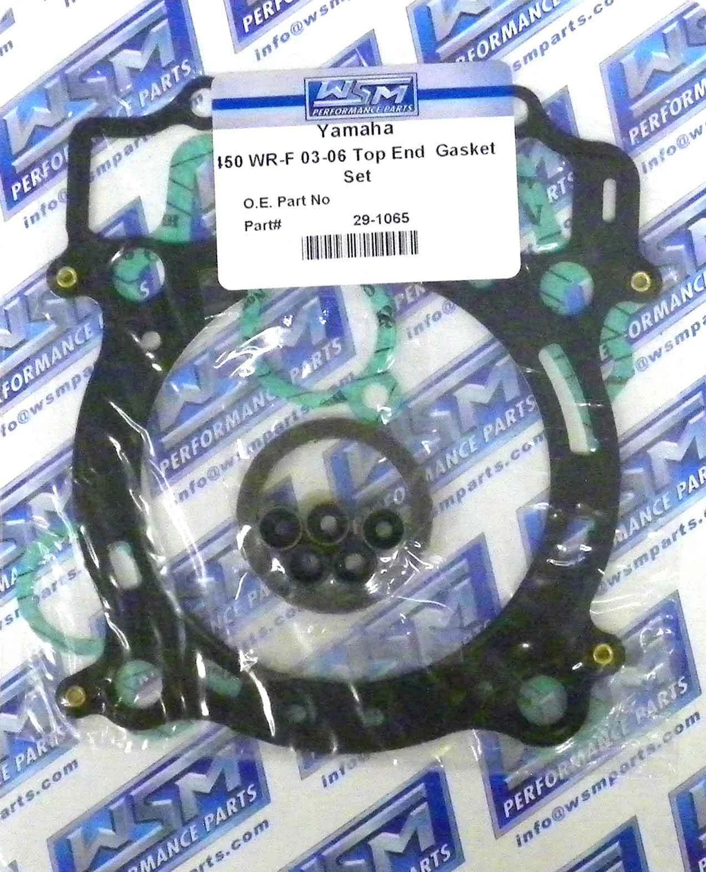 Gasket Kit for WSM