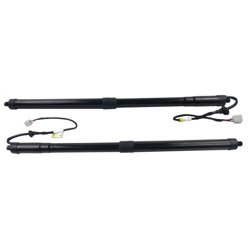 Set of 2 Tailgate Power Support Struts for Lexus RX350 RX450h (2016–2019)