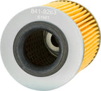 Fire Power PS152 Oil Filter for Can-Am & Aprilia ATV/UTV (2015–2016)